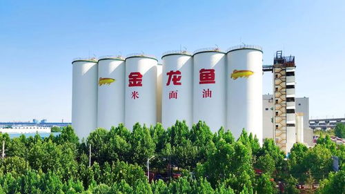 益海嘉里金龍魚八赴進博之約 以科技健康雙輪驅動，三季度業績穩中有進