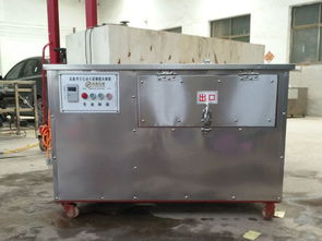 從石家莊到江蘇 刮魚鱗機廠家直銷，助力食品銷售高效發展